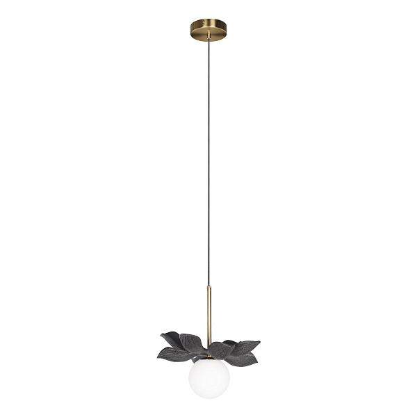 Светильник подвесной LOFT IT Monro 10213/B Black