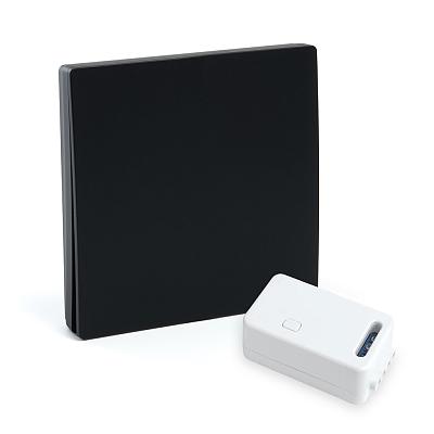 Выключатель беспроводной FERON TM181 230V 500W одноклавишный с радиочастотным контроллером LD100, че