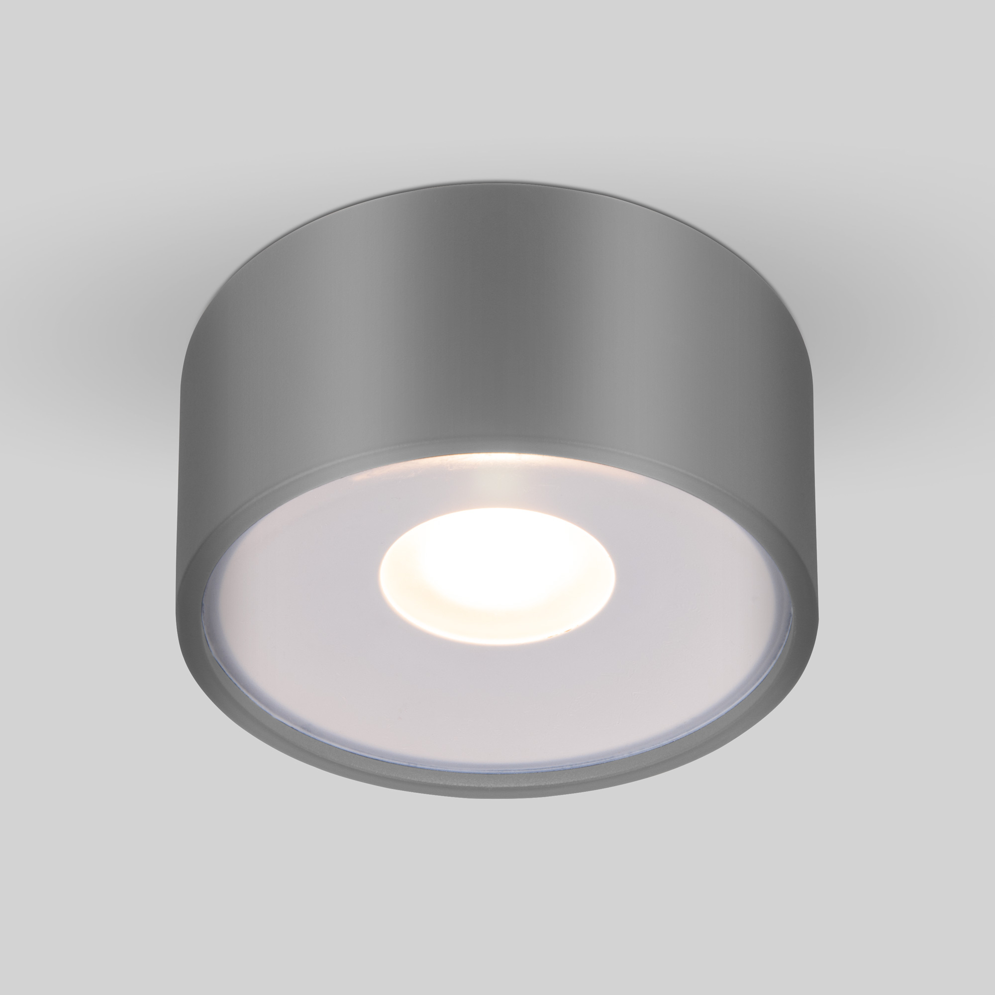 Уличный потолочный светильник Light LED 2135 IP65 35141/H серый 4690389180149