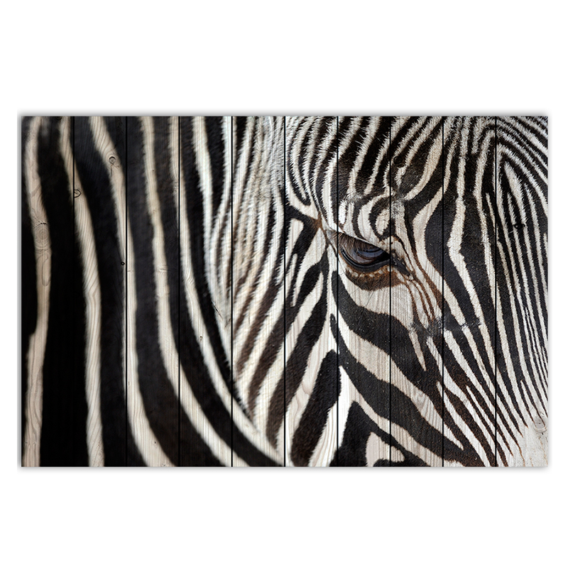 Постер Zebra Loft Concept 80.493-3
