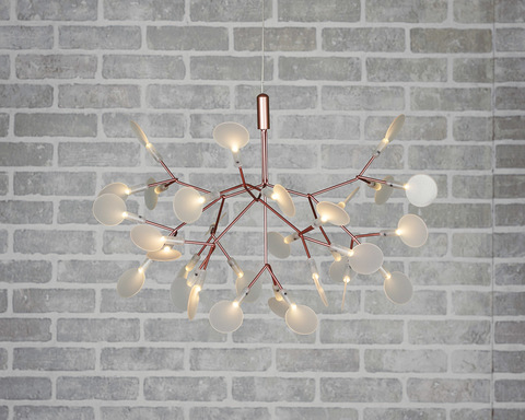 Люстра Heracleum D50