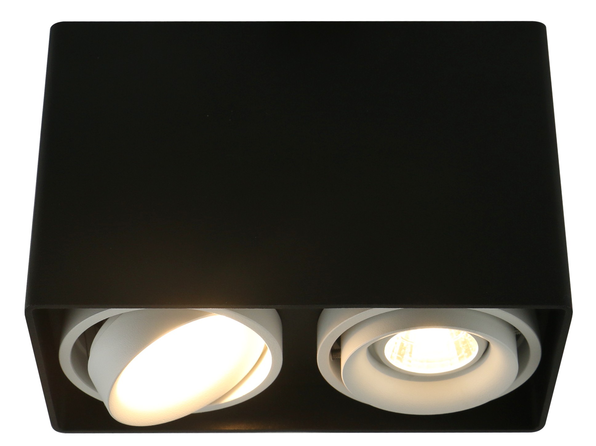 Светильник потолочный Arte Lamp  A5655PL-2BK