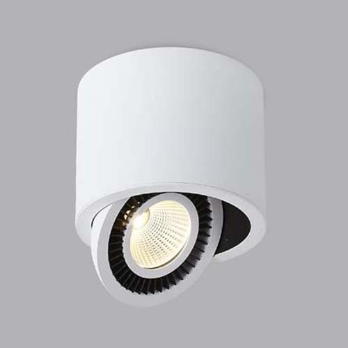 Потолочный светильник Donolux DL18700/11WW-White