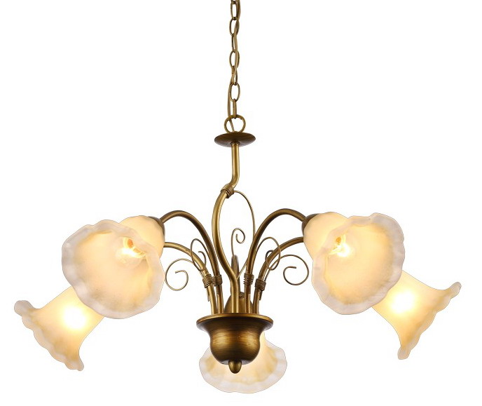 Подвесная люстра Arte Lamp 79 A9361LM-5BR