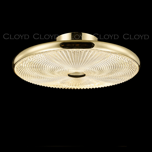 Светильник потолочный DISCA Cloyd 11251