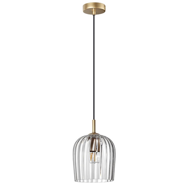 Светильник подвесной Lumion SUSPENTIONI 6551/1A