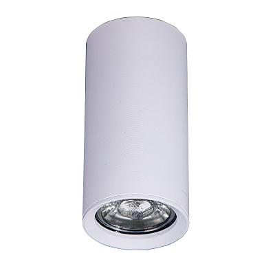 Накладной светильник Brizzi Aras BR08093
