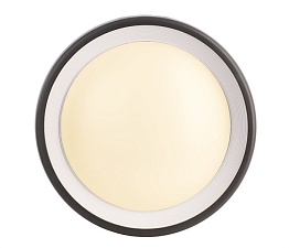 Уличный настенный светильник Deko-Light Canis 731043