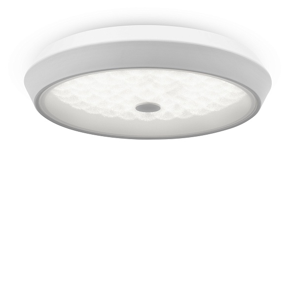 Потолочный светильник Freya LED FR10012CL-L24W