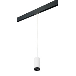 Светильник трековый Lightstar Rullo PRORP4363437