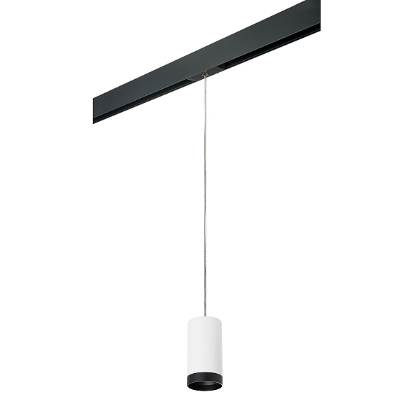 Светильник трековый Lightstar Rullo PRORP4363437