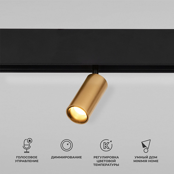 Светильник трековый Elektrostandard Slim Magnetic 4690389195303