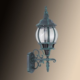 Уличный настенный светильник Arte Lamp Atlanta A1041AL-1BG