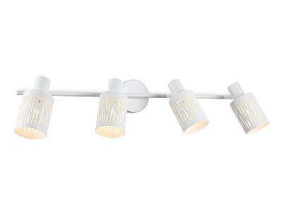 Настенно-потолочный спот в стиле лофт Ambrella Light TR8666