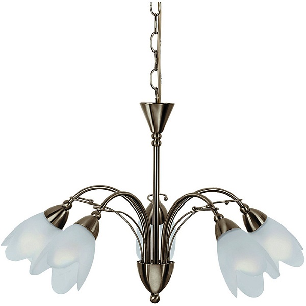 Люстра подвесная Arte Lamp PETAL A4905LM-5AB