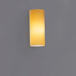 Потолочный светильник Leucos TUBE 30 Amber