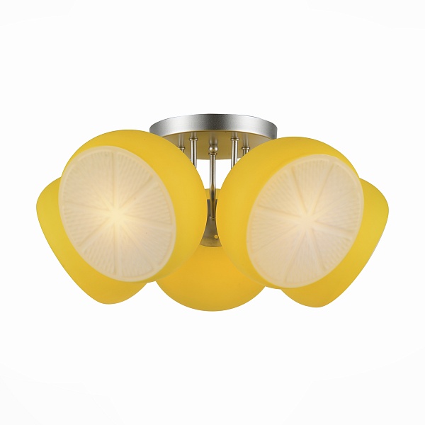Потолочная люстра ST Luce Arancio SL482.902.05