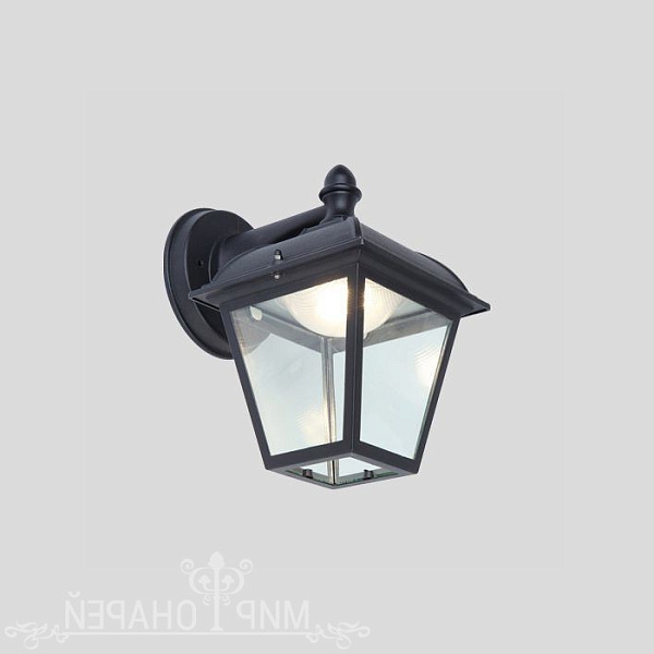 Настенный светодиодный уличный светильник Oasis Light POSI W2612S-3K