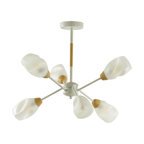 Люстра потолочная Lumion County Kendra 5210/6C