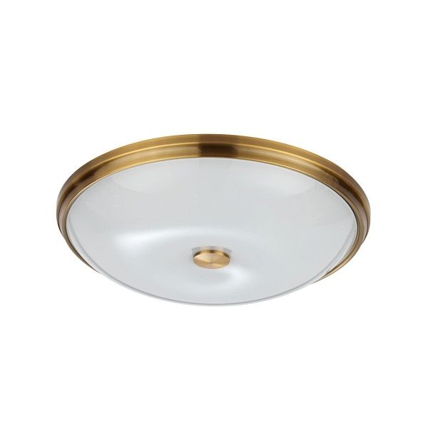 Настенно-потолочный светильник ODEON LIGHT PELOW 4956/5