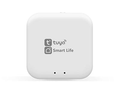 Wi-Fi конвертер управления светильниками для системы освещения Magnetic SMART 220V 25mm Ambrella Lig