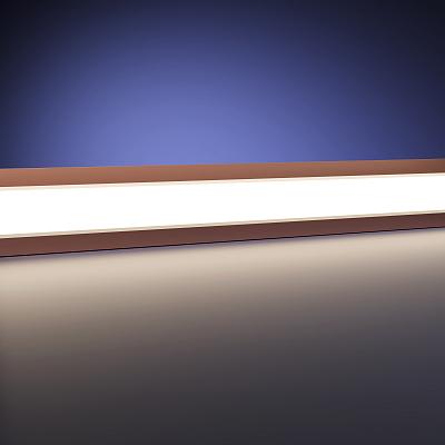 Светодиодная лента Maytoni Led Strip 201287