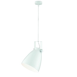 Светильник подвесной Arte Lamp STUDIO A8606SP-1WH