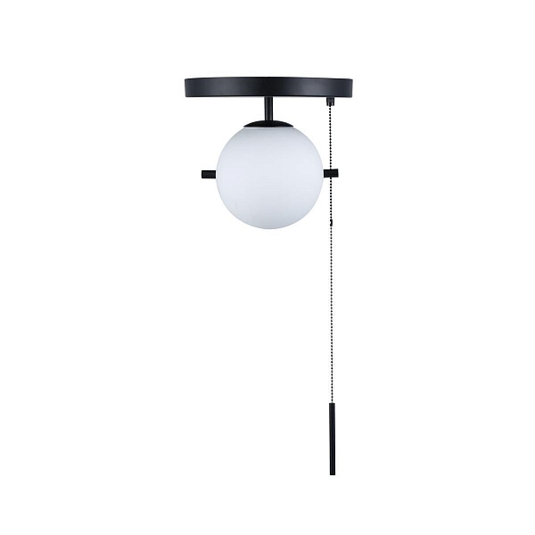 Светильник подвесной LOFTIT 10029C Black