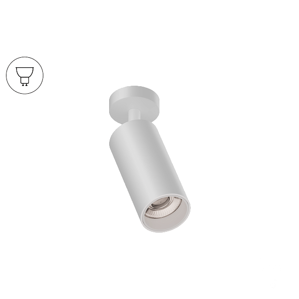 Накладной светильник Trunk On (RAL9003/D55 — GU10)