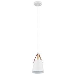 Подвесной светильник Arte Lamp THOMAS A7032SP-1WH