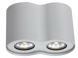 Потолочный светильник Arte Lamp Falcon A5633PL-2WH