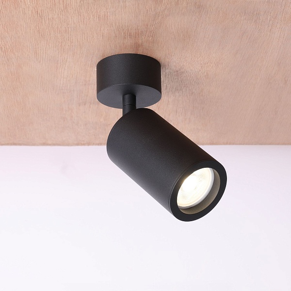 Потолочный светильник Flare Light FLR-10498