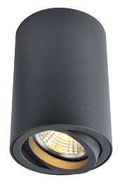 Светильник потолочный Arte Lamp  A1560PL-1BK