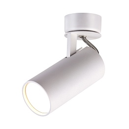 Спот Odeon Light CORSE 3873/1C