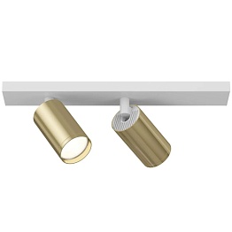 Потолочный светильник Maytoni Ceiling & Wall Focus S C051CL-2WG