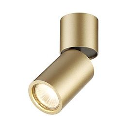 Потолочный светильник Odeon Light DUETTA 3895/1C