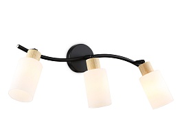 Настенно-потолочный спот в стиле лофт Ambrella Light TR8722