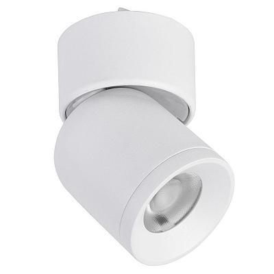 Магнитный поворотный спот белого цвета Maspot Loft-Concept 42.384-3
