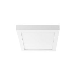 Настенно-потолочный светильник Lightstar Zocco 324062