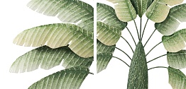 Аксессуар на стену Banana Leaves Loft-Concept 83.307