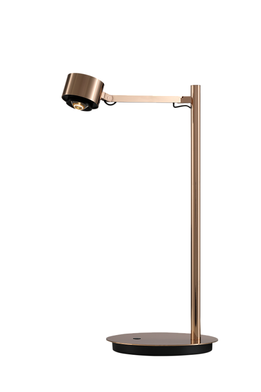 Настольная лампа DesignLed T-0367-1A-FG-WW 007530