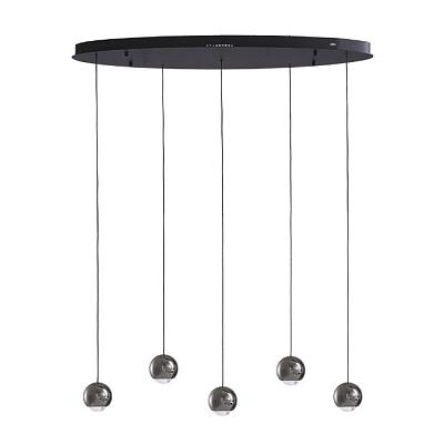 Подвесной светильник Lumien Hall Danay LH8027/5P-BK-PBK