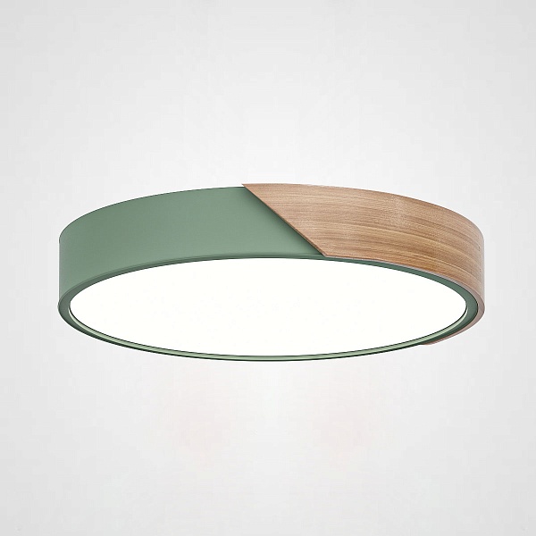 Потолочный светильник Clip Green D30 Clip01 193040-26