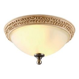 Потолочный светильник Arte Lamp Ivory A9070PL-2AB