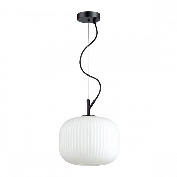 Подвесной светильник Odeon Light ROOFI 4753/1