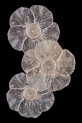 Бра Violetta LE3018/3W GD