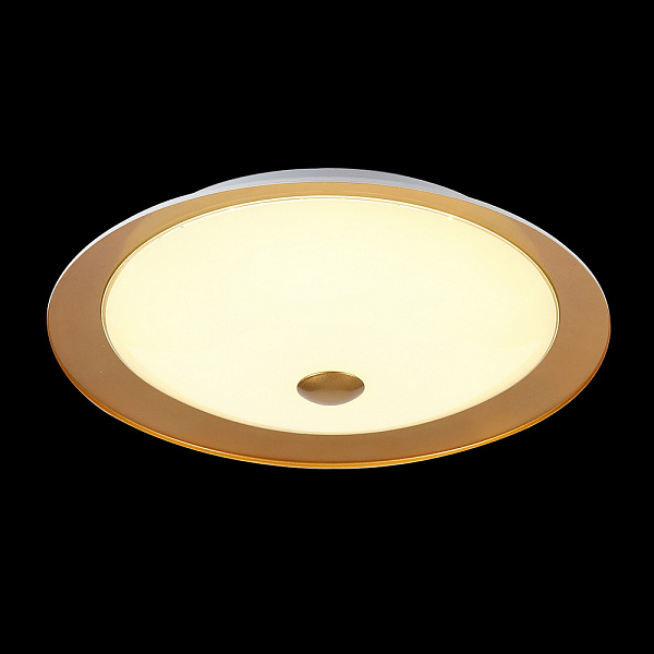 Потолочный светильник Maytoni Euler CL815-PT50-G