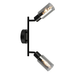 Настенно-потолочный спот Escada 10172/2A E14*40W Black/Chrome