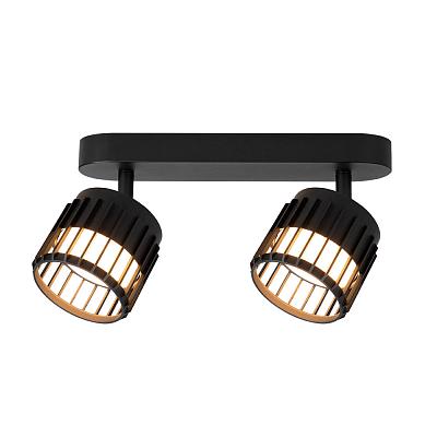 Накладной спот Arte Lamp ATRIA A8031PL-2BK