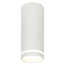 Потолочный светодиодный светильник Escada 20009SMU/02LED SWH